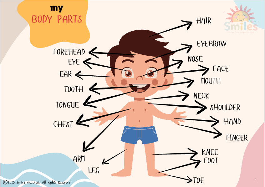 🧠 Human Biology Busy Book | Body Parts & Senses | Printable Preschool Learning Set